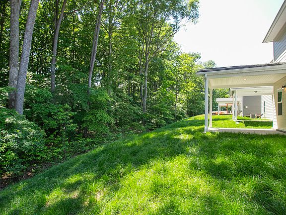 Homesite 38 Back Yard