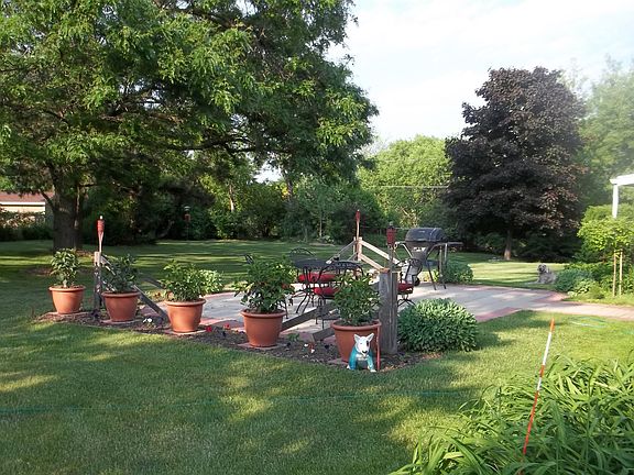 Patio and backyard NW corner