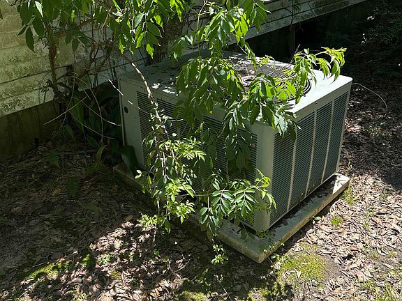 5th image of 553 Magnolia Rd
