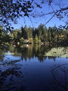 6819 Whitmore Dr NW, Gig Harbor, WA, 98335