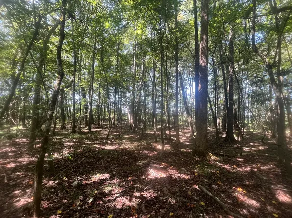 1 N Highway 167, New Brockton, AL 36351