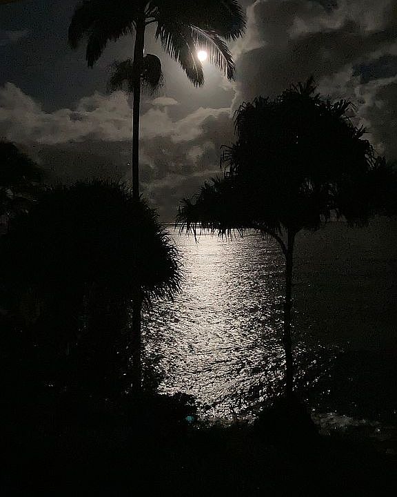 2nd image of 255 Kuikahi St