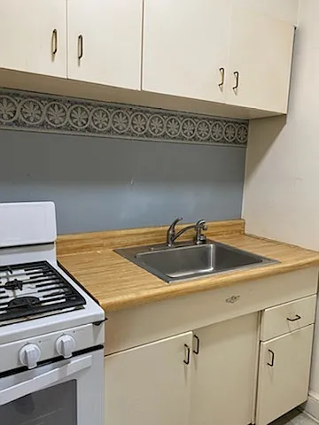 249 Commonwealth Ave #2A — Photo 5