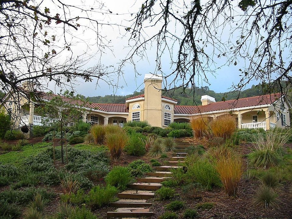Backyard looking up at Moutain Winery