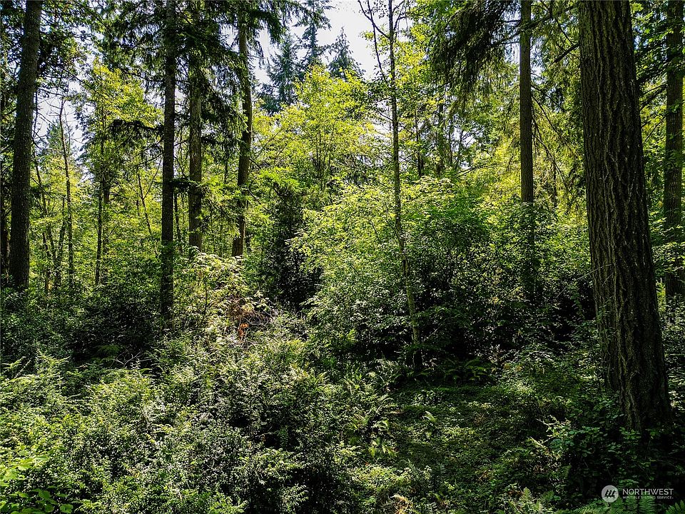 2nd image of 0 150th Avenue