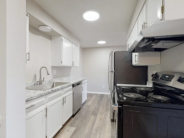 Newland — Photo 1