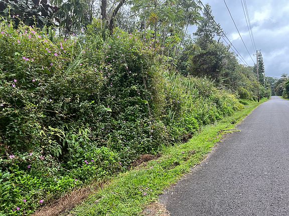 3rd image of 13-942 Kahukai St Lot 33