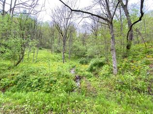 2150 Grasslick Rd, Gassaway, WV 26624