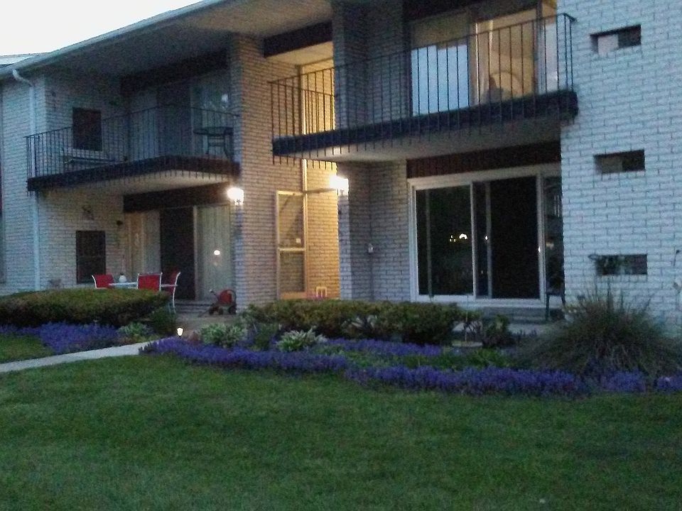 Pretty purple groundcover