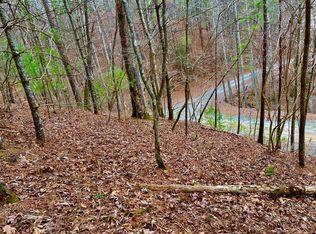 2961 Newton Ln, Ellijay, GA 30540