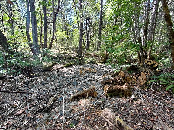 5th image of 8595 Deer Creek Rd