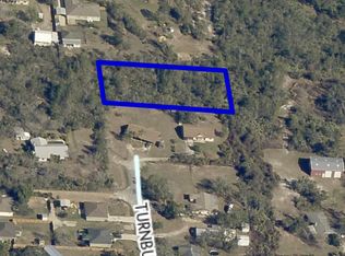 0 Turnbull Rd, Mims, FL 32754