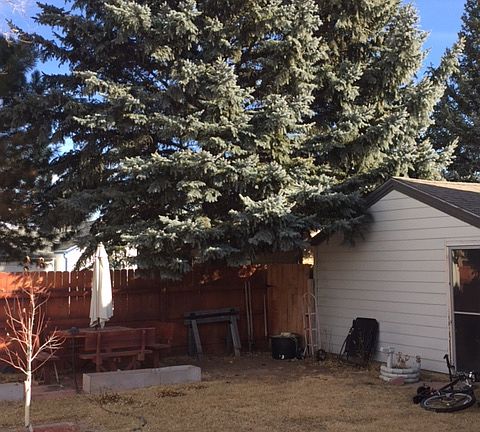 5th image of 2044 11th Ave
