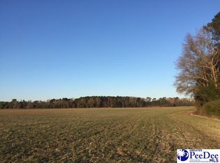 4600 Meadors Rd, Florence, SC 29501