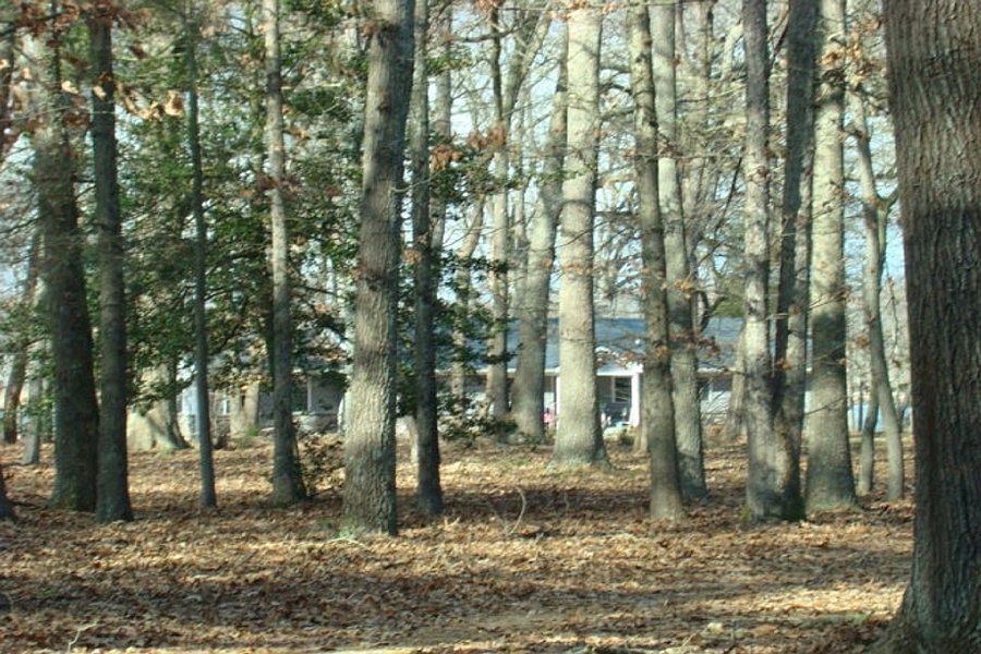 2nd image of 7027 Dawsons Branch Dr