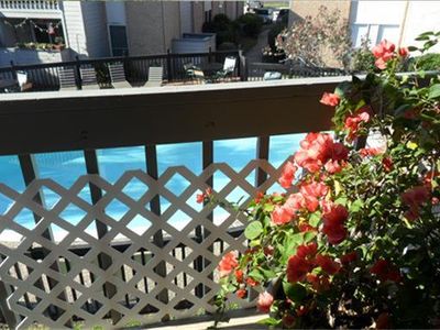 260 El Dorado Blvd APT 1906, Webster, TX, 77598