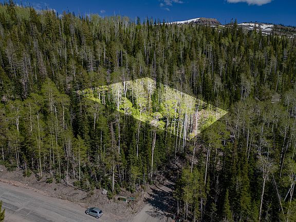 2nd image of 29 S Ponderosa Dr
