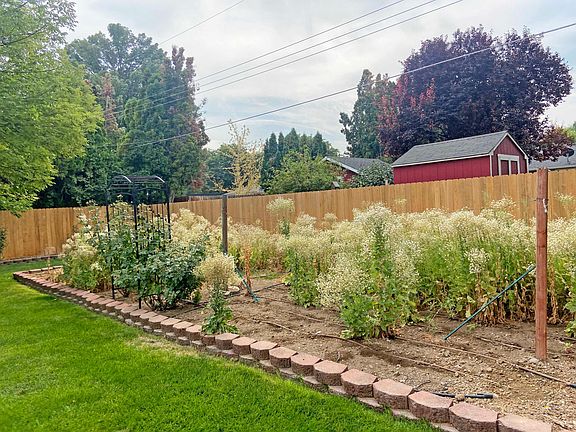 fully drip irrigated vegetable garden