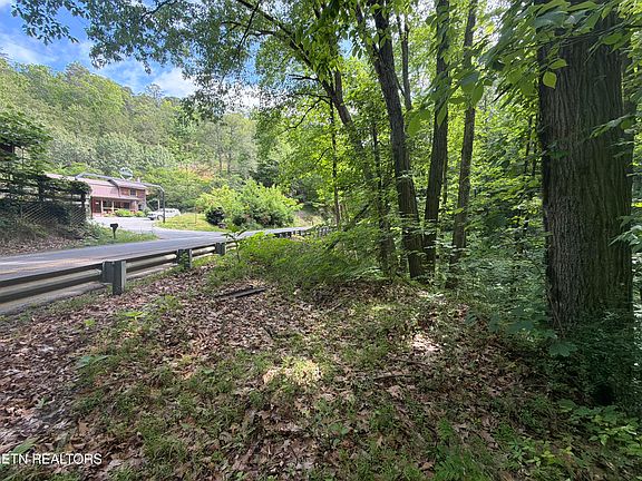 3rd image of Wears Valley Rd