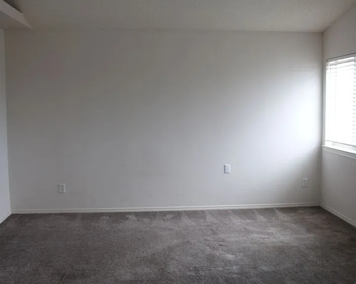 14313 Island Point Dr — Photo 12