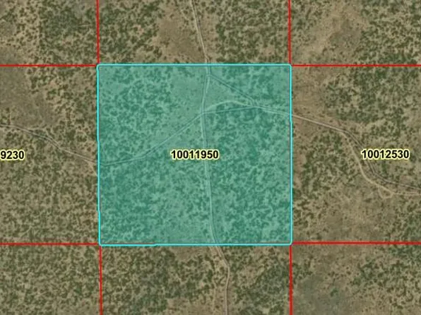 40 Acres N Canyon Drive, San Luis, CO 81152