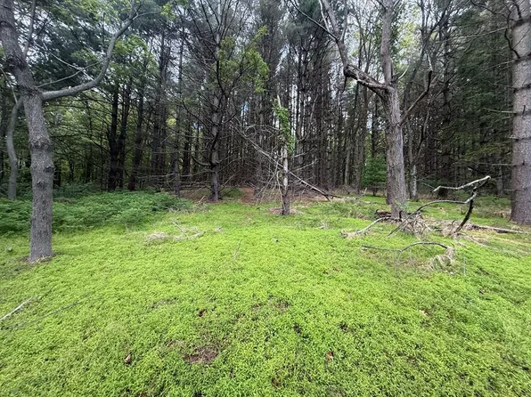Tbd Danville Pike, Laurel Fork, VA 24352