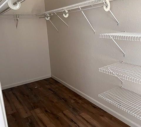 Primary Walk in closet