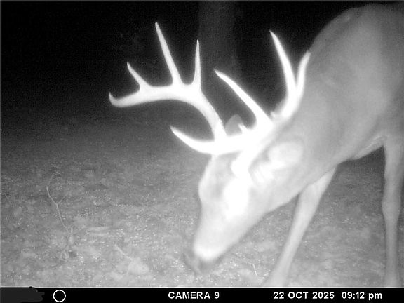 3rd image of 1 Madison #3105