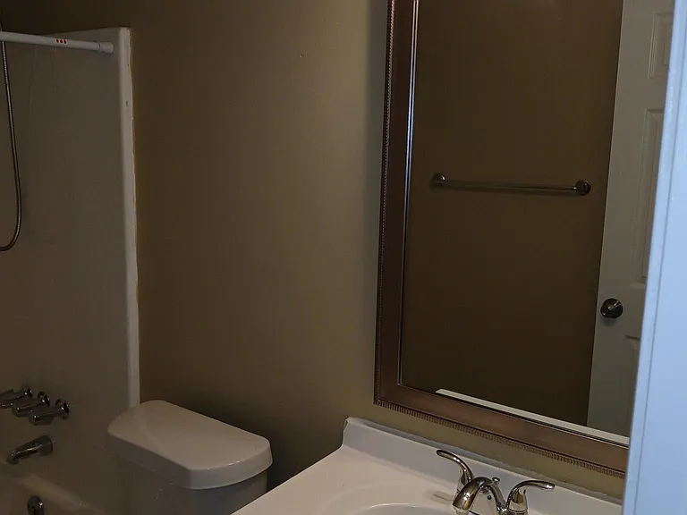 Hall Bathroom