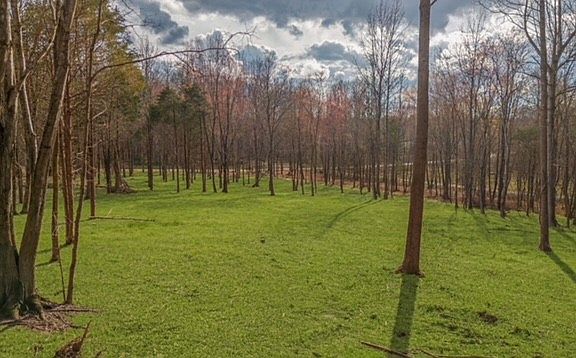 3rd image of 7886 Bill Moss Rd