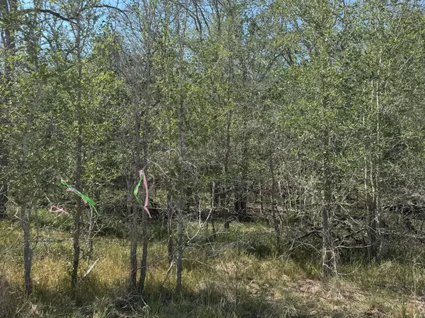 421 Kerr Ave LOT 22-23, Sutherland Springs, TX 78161