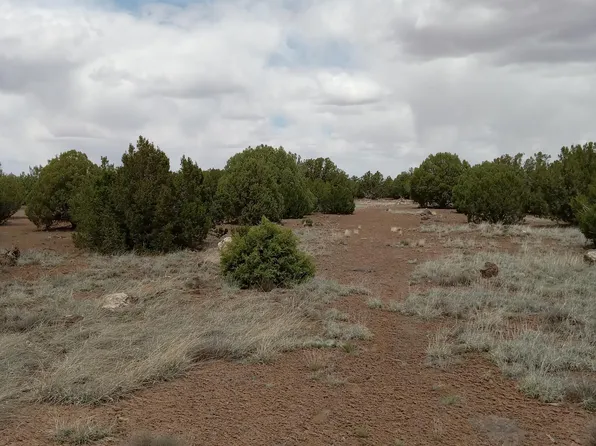 Grand Vw Parcel 304-38-006H, Show Low, AZ 85901