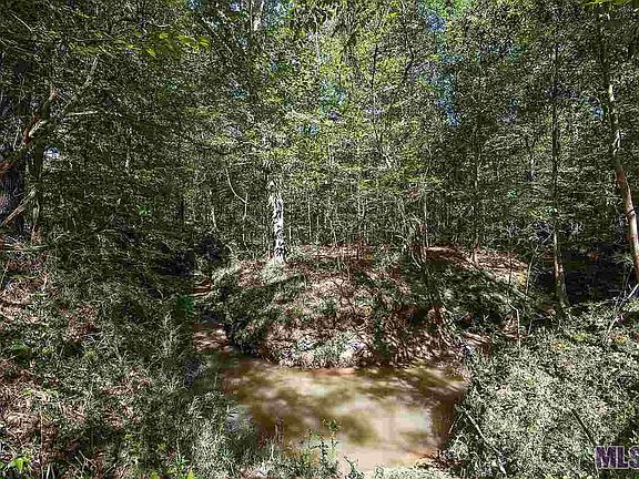 5th image of TRACT 4 Highland Meadows Dr
