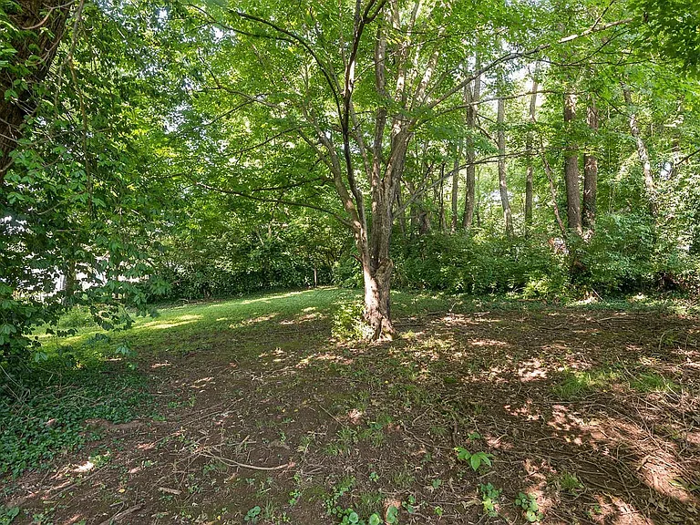 204 Zandale Dr — Photo 24