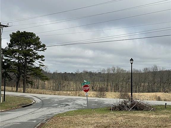 5th image of 3462 Roy Parks Rd