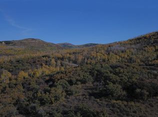 TBD Harrison Creek Rd LOT 22 & 25, Collbran, CO 81624