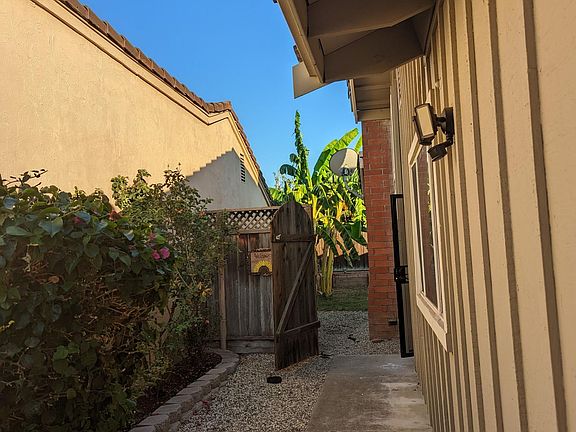 Side yard - Roses, Bougainvilla