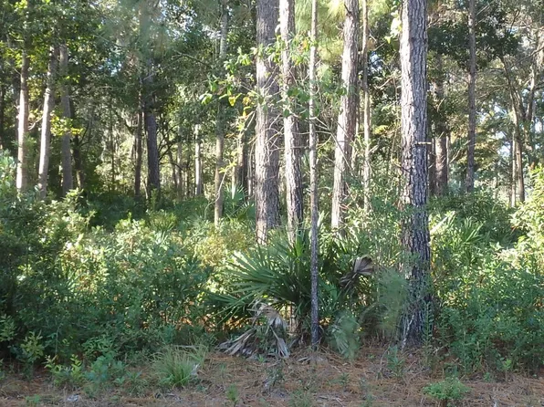 V/l 73 Eagle Crest Dr, Waverly, GA 31565