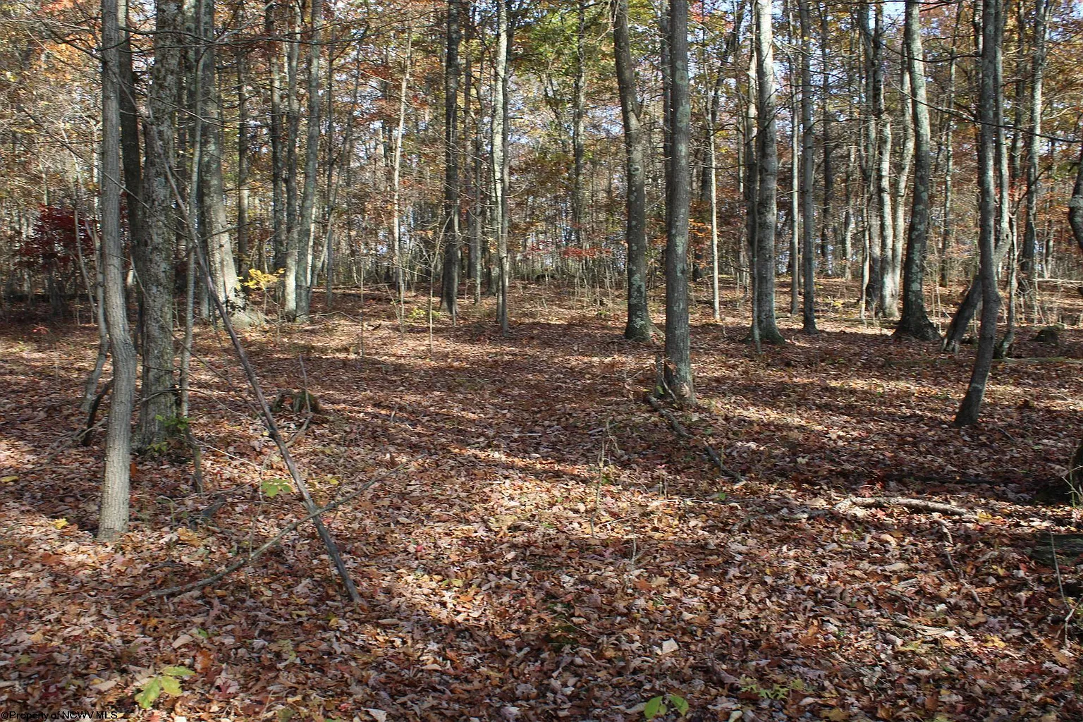 LOT 6 Cascade Rd photo 1