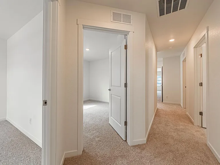 2285 Coyote Mint Dr — Photo 38