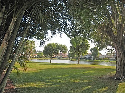 View from Back Yard