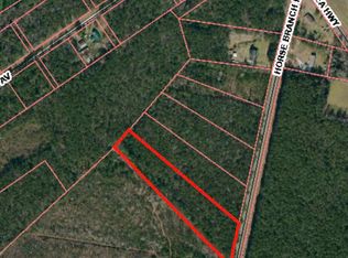 337-3.37 Horse Branch Rd, Willard, NC 28478