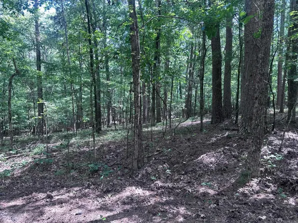 7 Novato Ln, Hot Springs Village, AR 71909