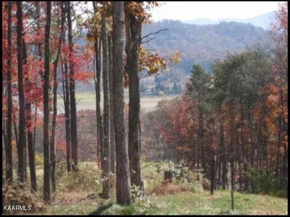 LOT 44 Bayside Blvd, Bean Station, TN 37708