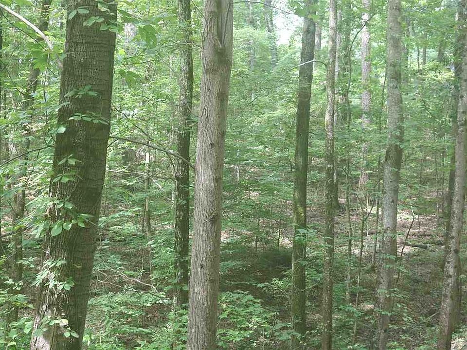 2nd image of Springbrook Dr