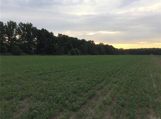 0 Palms Rd, Fort Gratiot, MI 48023