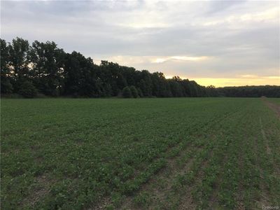0 Palms Rd, Fort Gratiot, MI, 48023