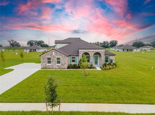 10031 White Magnolia Sq, Thonotosassa, FL 33592