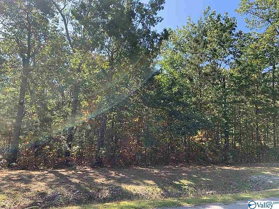 2nd image of 125 Mountain Oaks Dr
