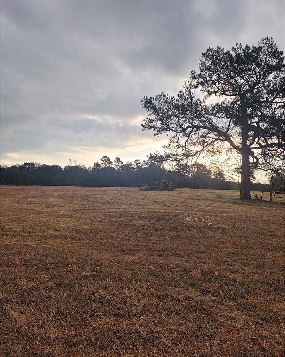 2nd image of TRACT A Highway 2 #59